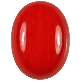 Red Coral