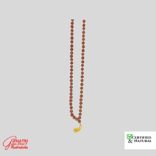 5 Mukhi Rudraksha Mala — view 2