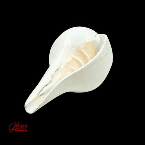 BLOWING SHANKHA (LARGE) — view 2
