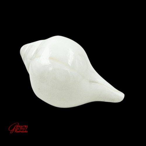 BLOWING SHANKHA (LARGE)